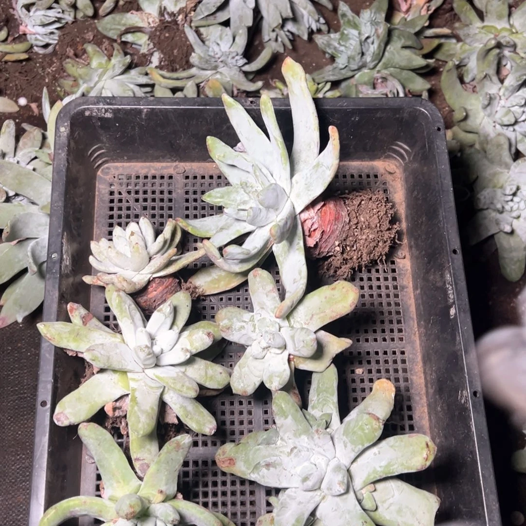 5884哈哈哈哈哈哈哈哈