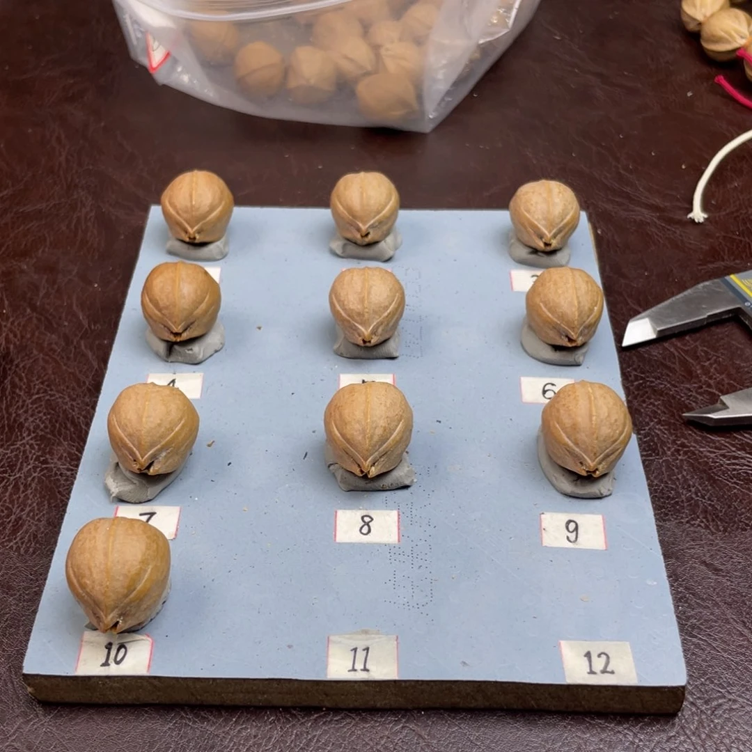 手串/手链橄榄核?21.26梅林铁核