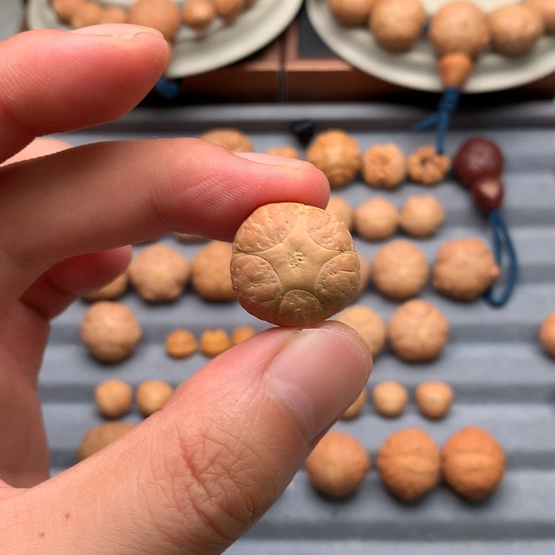 吊坠凤眼菩提20+五星，非质量问题开孔不退