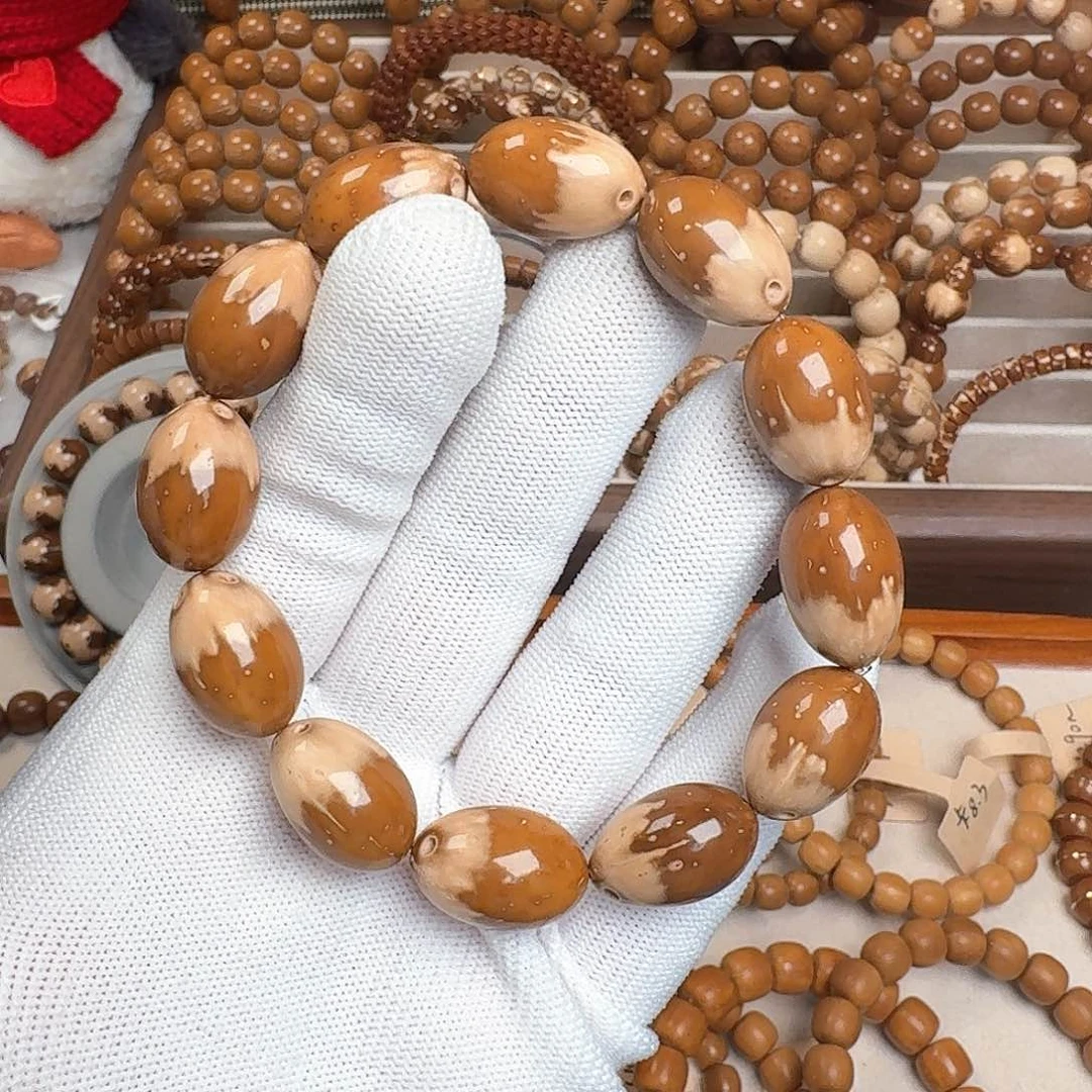 青山紫金鼠半山半雪小熊卡13开播福利