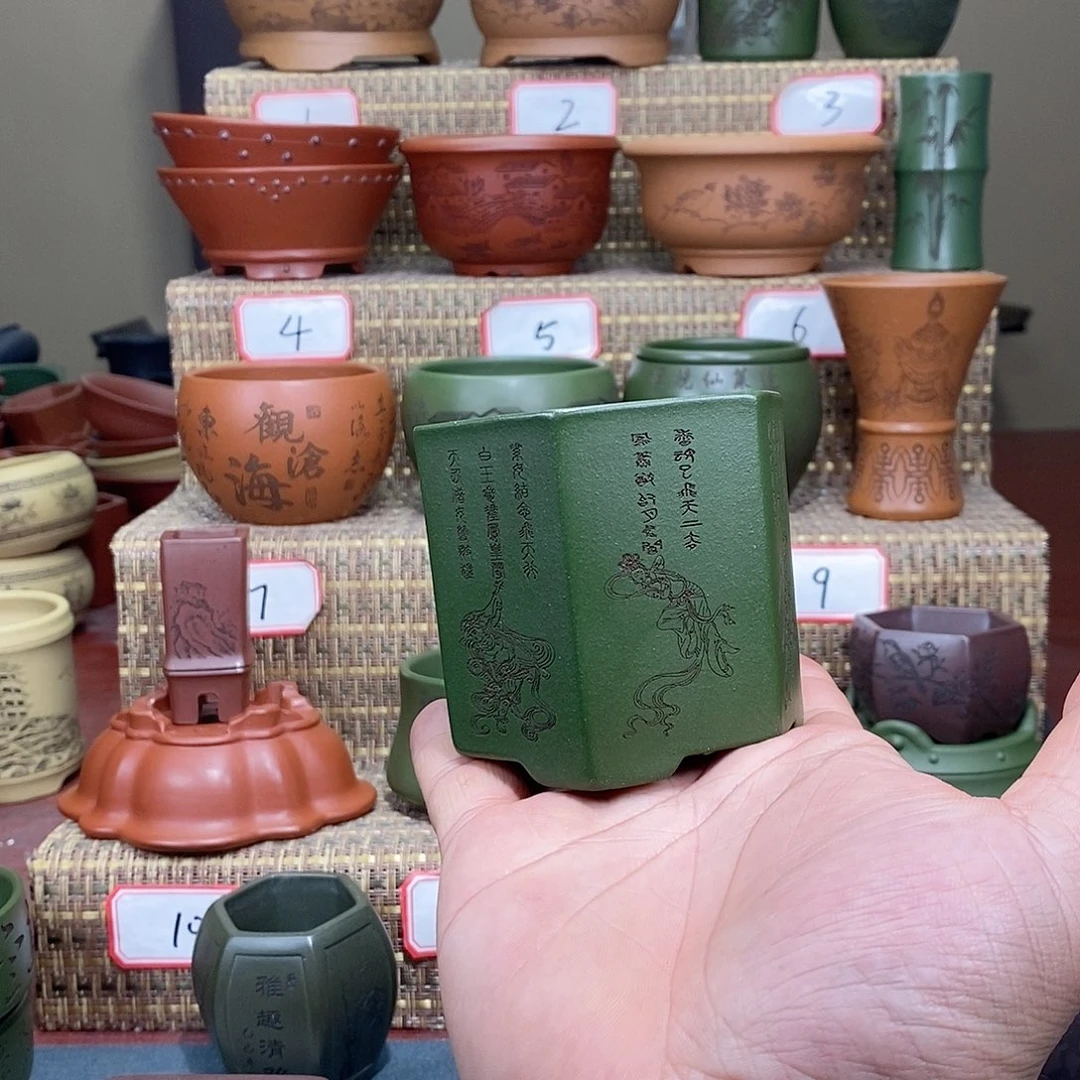 紫砂花盆我在等他