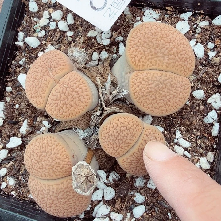 这个点睡起来都还困吗422