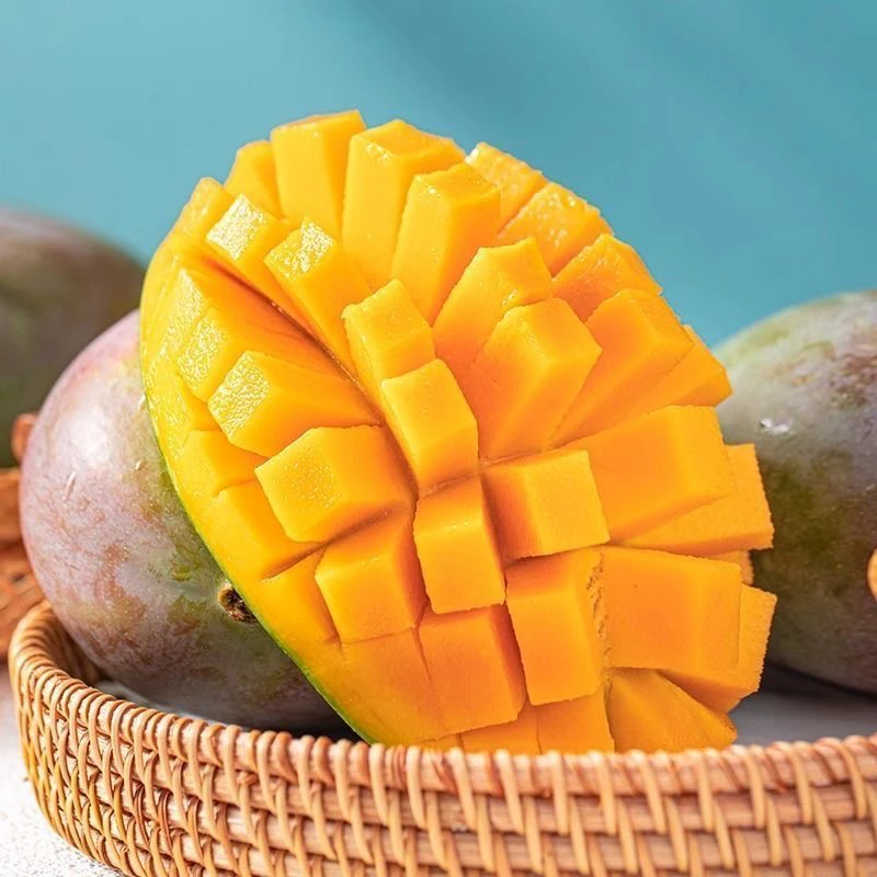 四川攀枝花正宗凯特芒果新鲜应季芒果水果特大