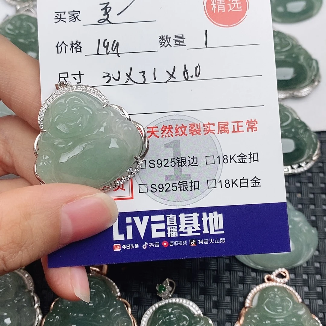 忘***始翡翠银S925镶嵌颈饰