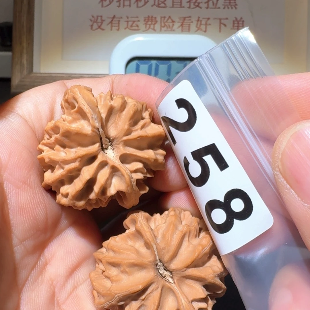 門***闫把件文玩核桃大龙