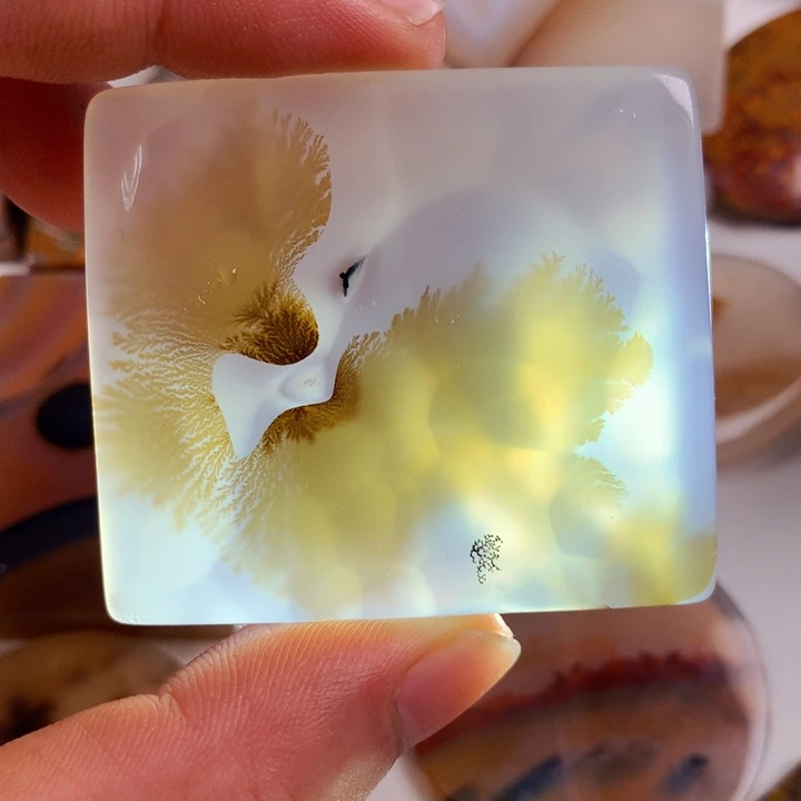 未镶嵌颈饰玛瑙/玉髓伊****5