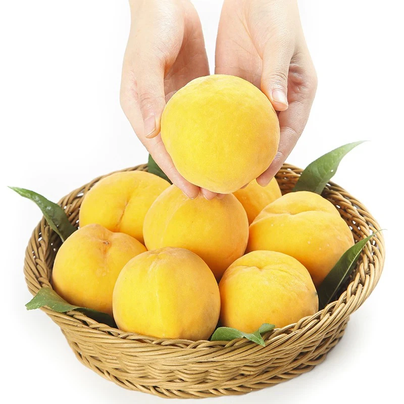 黄水蜜桃毛桃当季水果（一箱4.5斤左右）