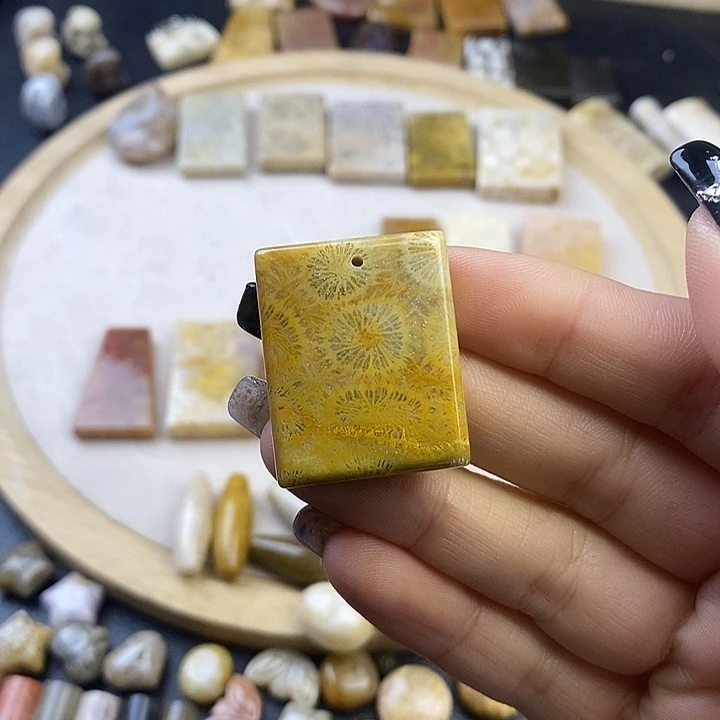 硅化珊瑚（珊瑚玉）未镶嵌颈饰19