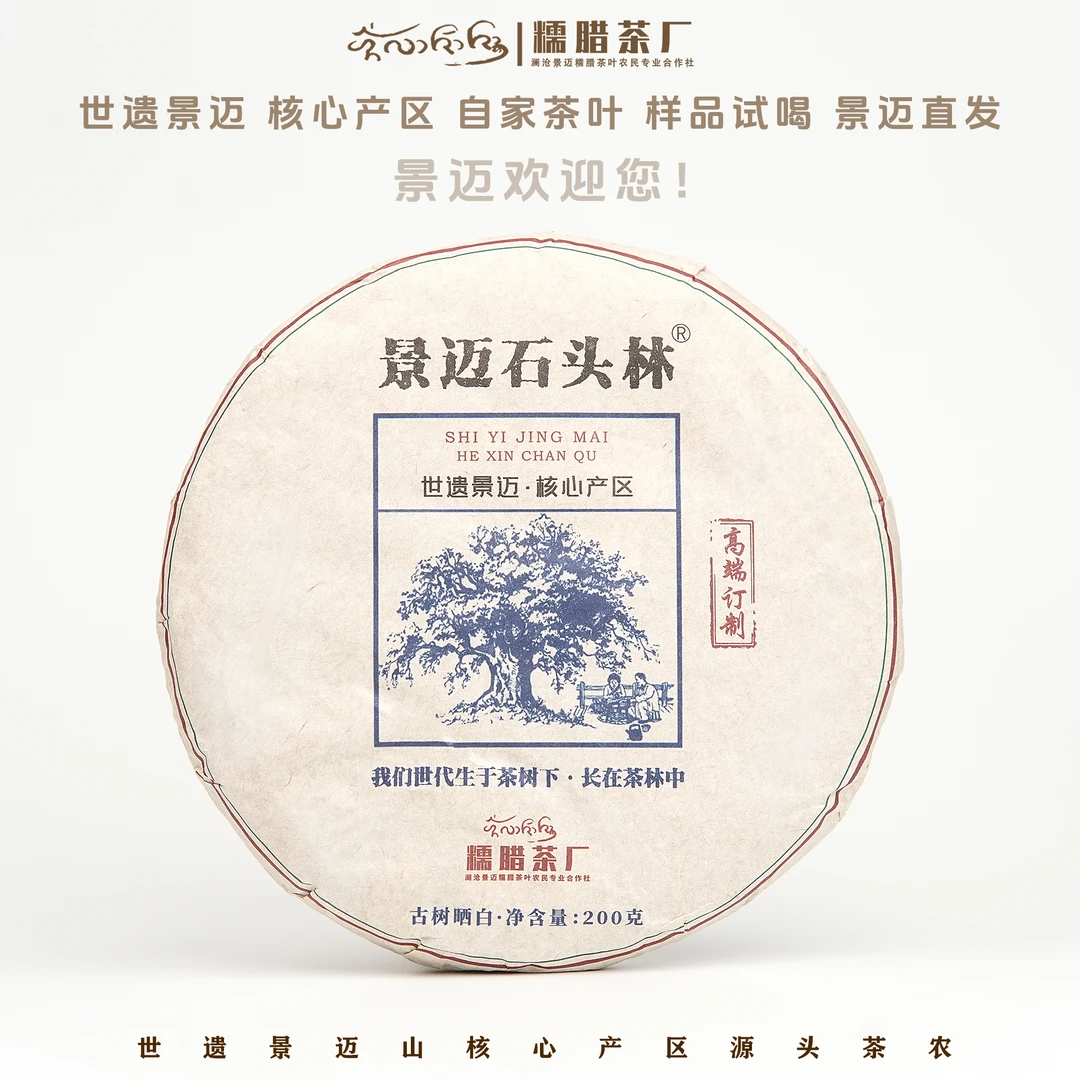 【石头林白茶】景迈石头林2025头春头采古树纯料白茶晒白兰香