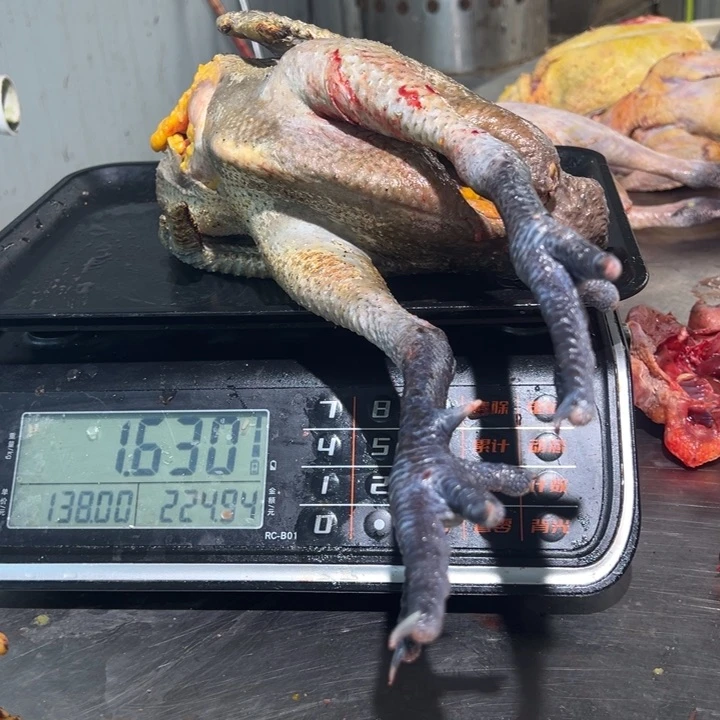 一号土鸡食用农产品中国大陆甜*子