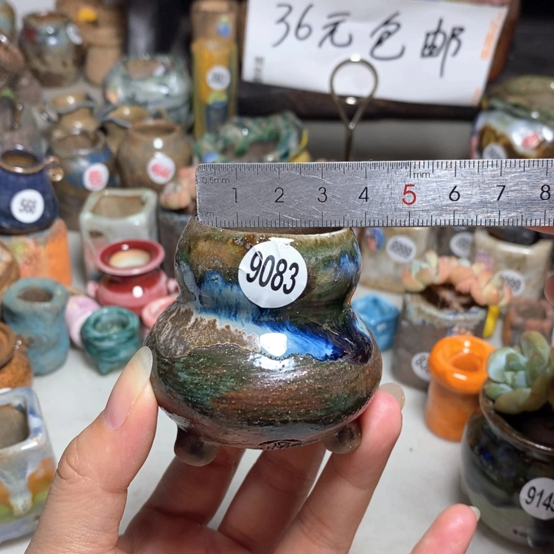 拍5送一个小礼物