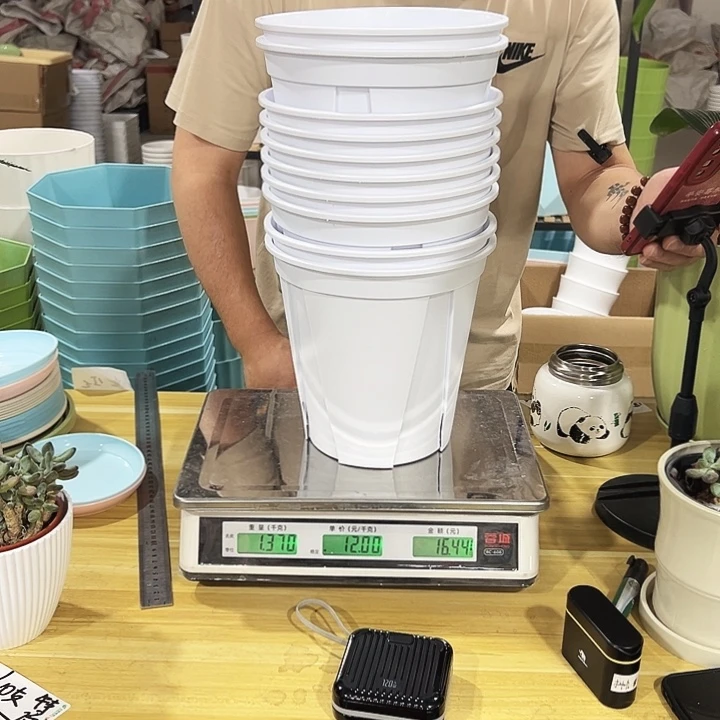 青山口21高21白色无托10只