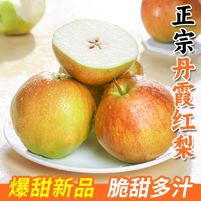 【淘天然】山西农家丹霞红梨4.5斤新鲜梨子秋月梨现摘现发脆嫩多汁