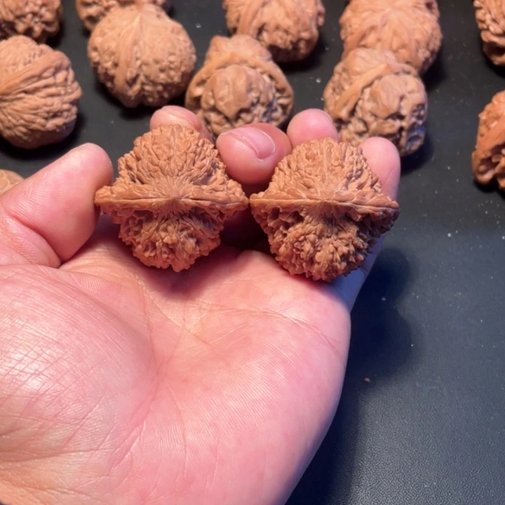 核桃山**川40尺寸满天星