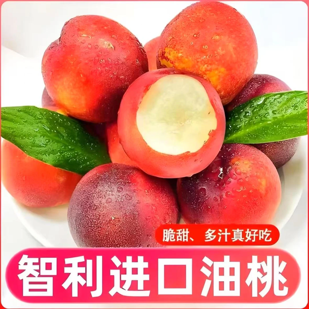 【坏果包赔】智利白油桃一箱3斤8颗