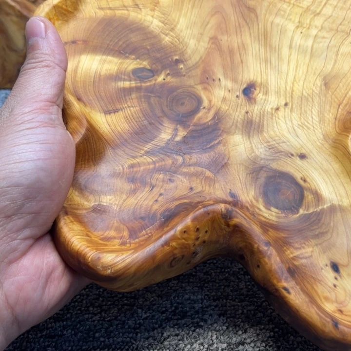 柏木（崖柏）崖柏06