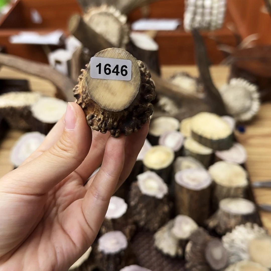 鹿骨手串/手链1646角帽