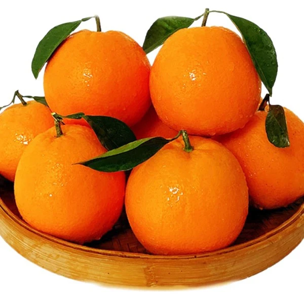 正宗重庆脐橙当季新鲜水果橙子产地直发