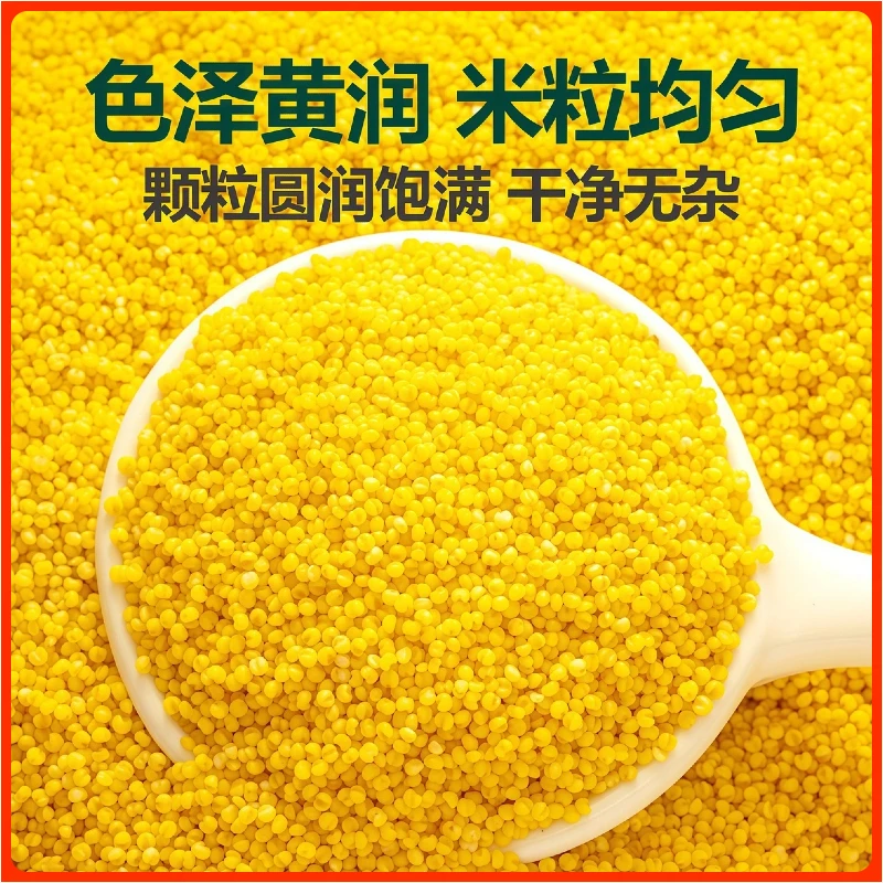 东北农家小米I有机小米I当季新米