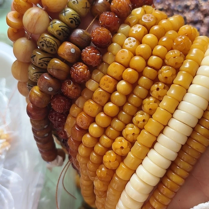 骨骨骨骨骨骨骨骨