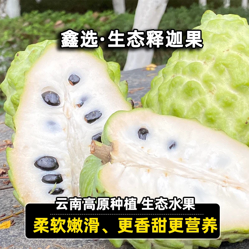 鑫选 生态云南释迦果5斤 产地新鲜采摘香甜可口美味 顺丰直发