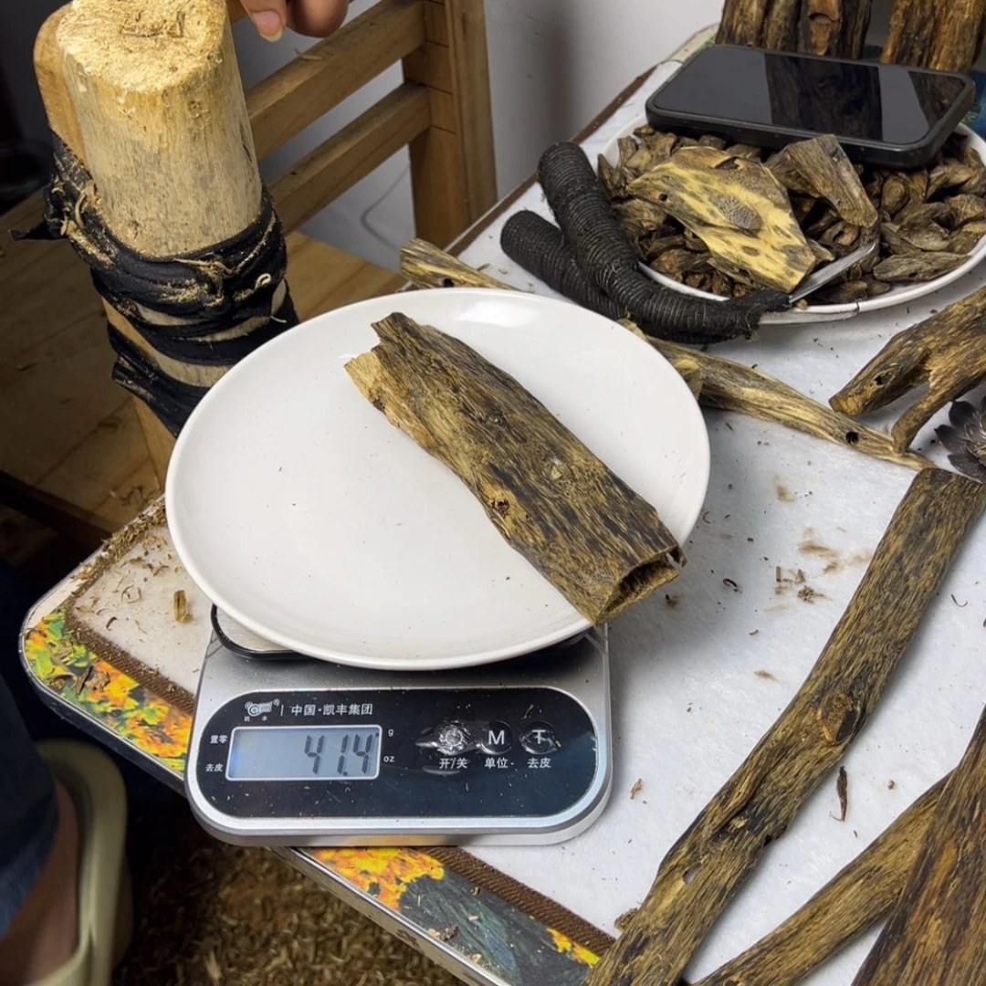 线香奇楠虫漏香41克