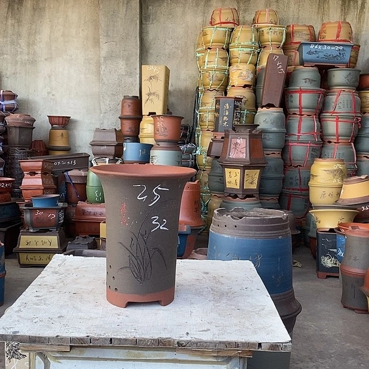 紫砂花盆盆栽花卉苗木种植