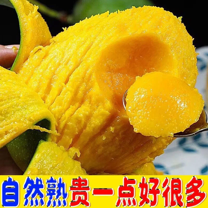 【现摘优质】甜味攀枝花凯特大芒果爆甜凯特大芒果当季新鲜水果芒果