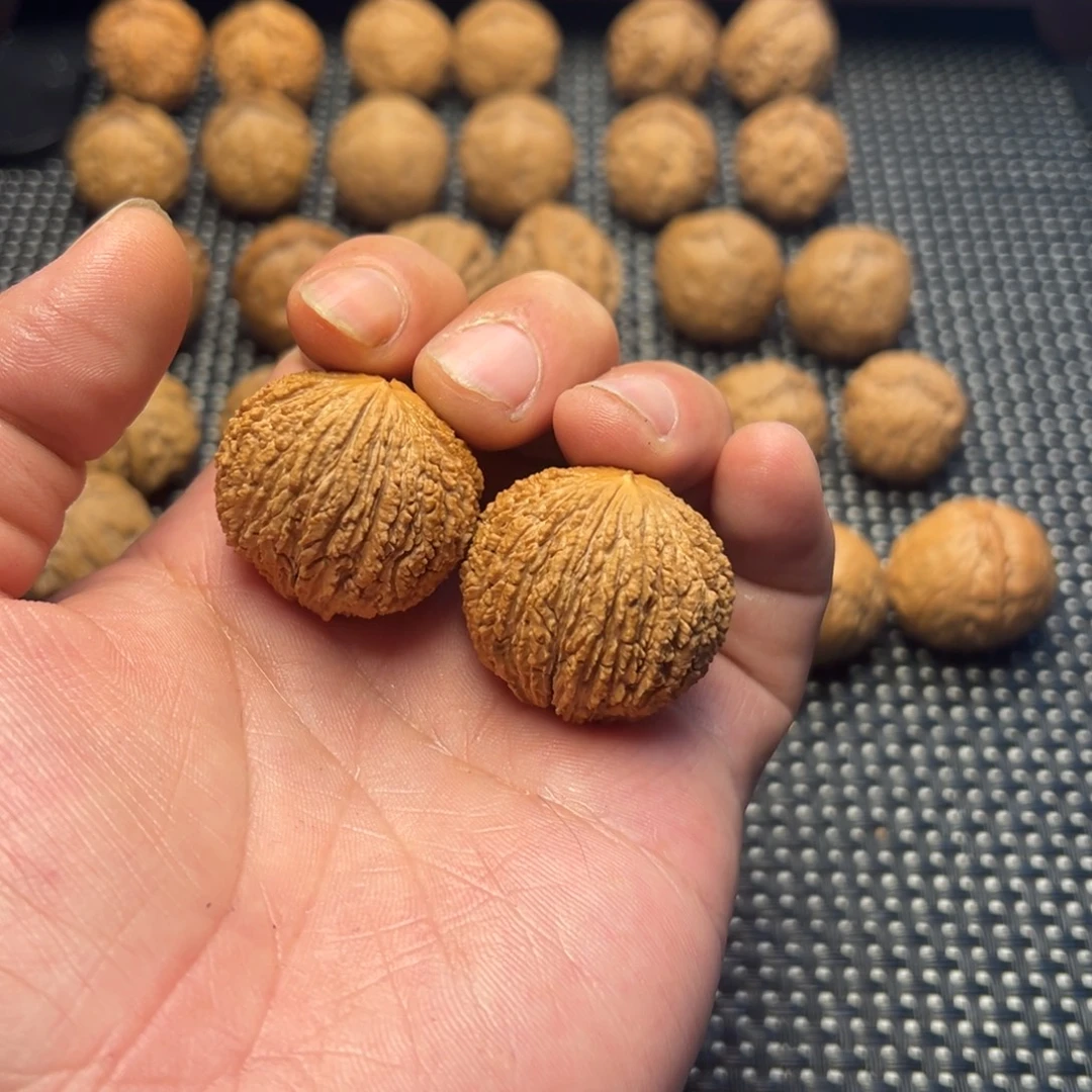 文玩核桃把件大猴子