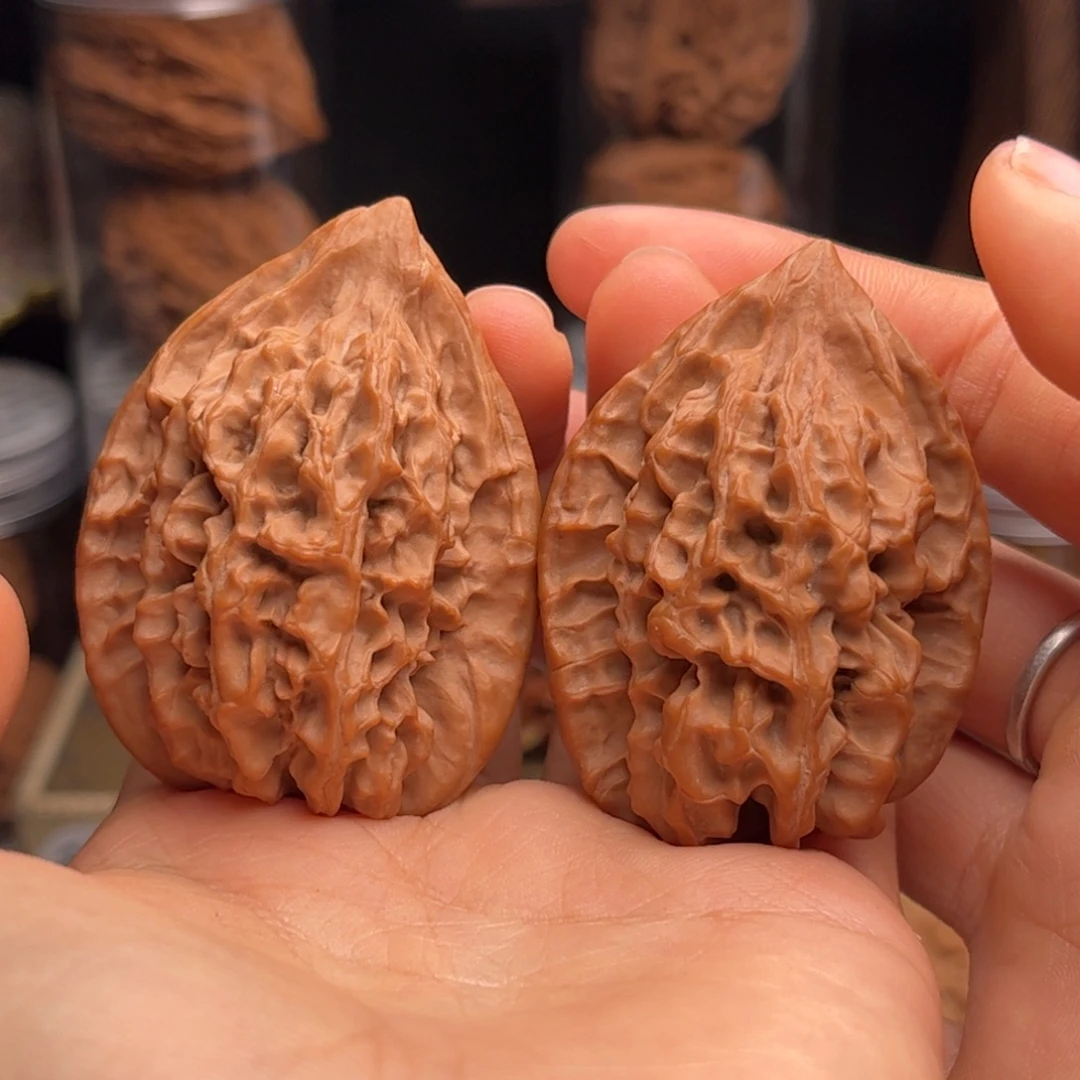 文玩核桃把件稀有小众野生核桃 剑齿虎