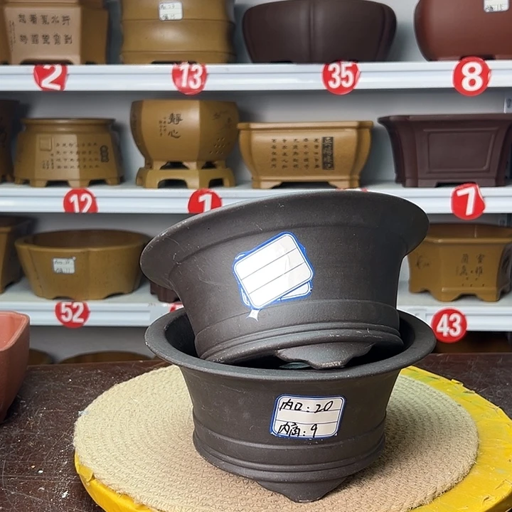 紫砂花盆你在一起