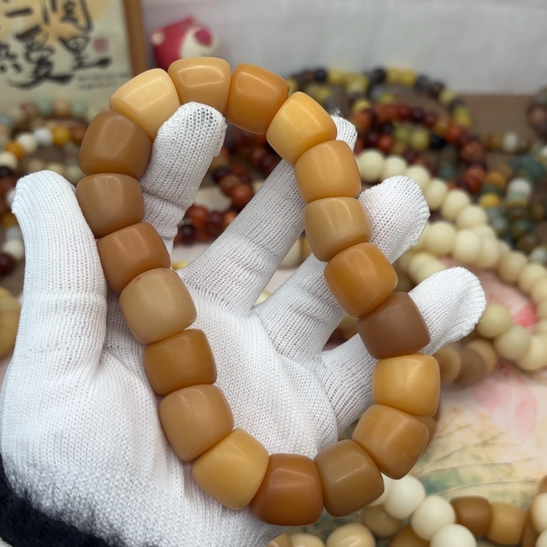 吊坠菩提根/象牙果18干磨瑕疵落地果肠636