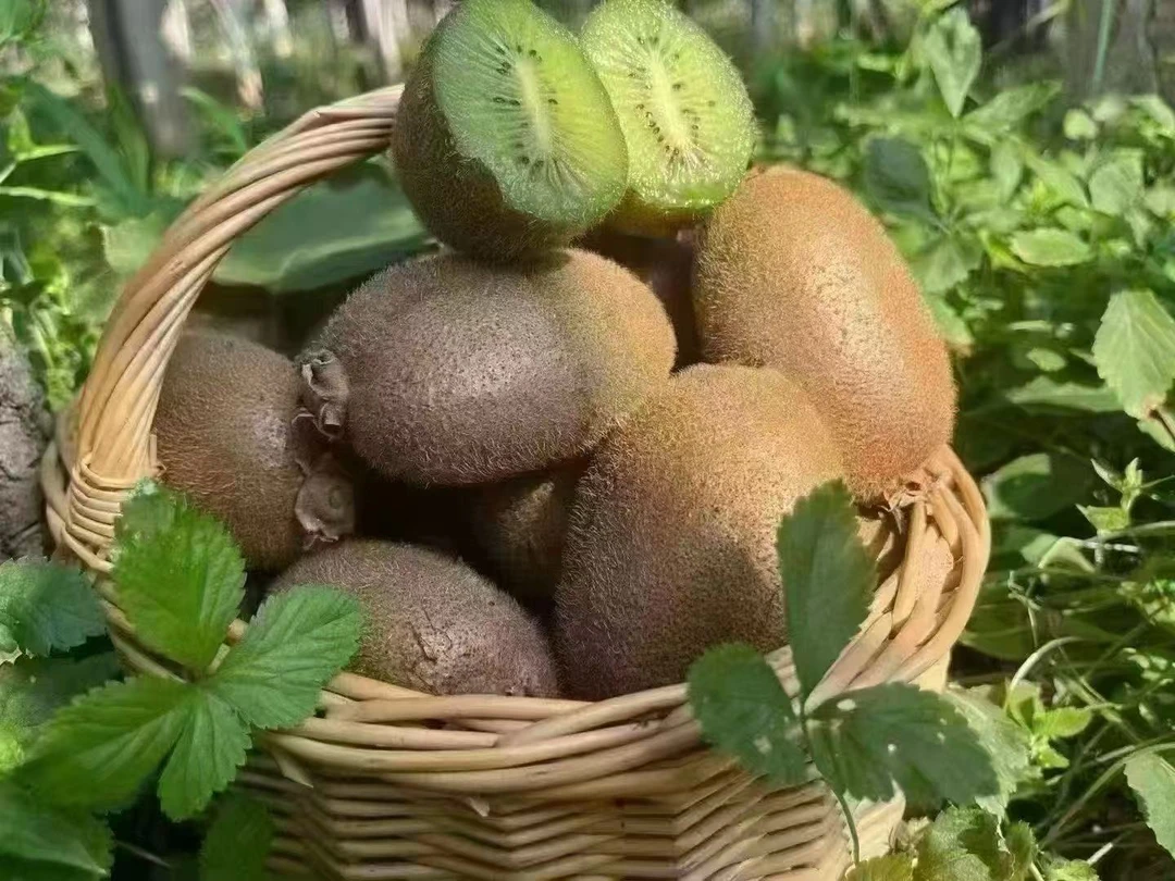 陕西正宗徐香猕猴桃新鲜绿心奇异果应季水果香甜多汁5斤大果