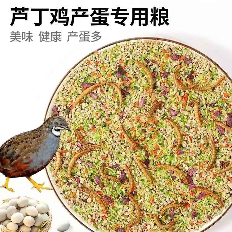 芦丁鸡饲料粮食卢丁鸡饲料粮食产蛋饲料面包虫育雏饲料鹌鹑饲料