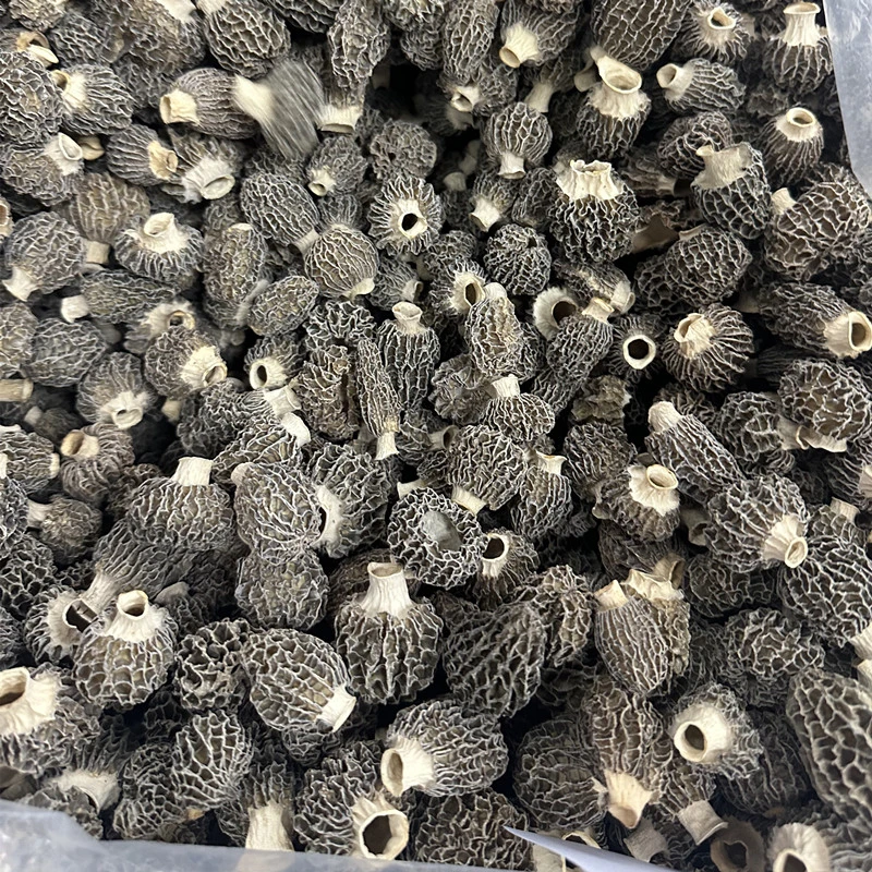小草莓羊肚菌100g南北干货