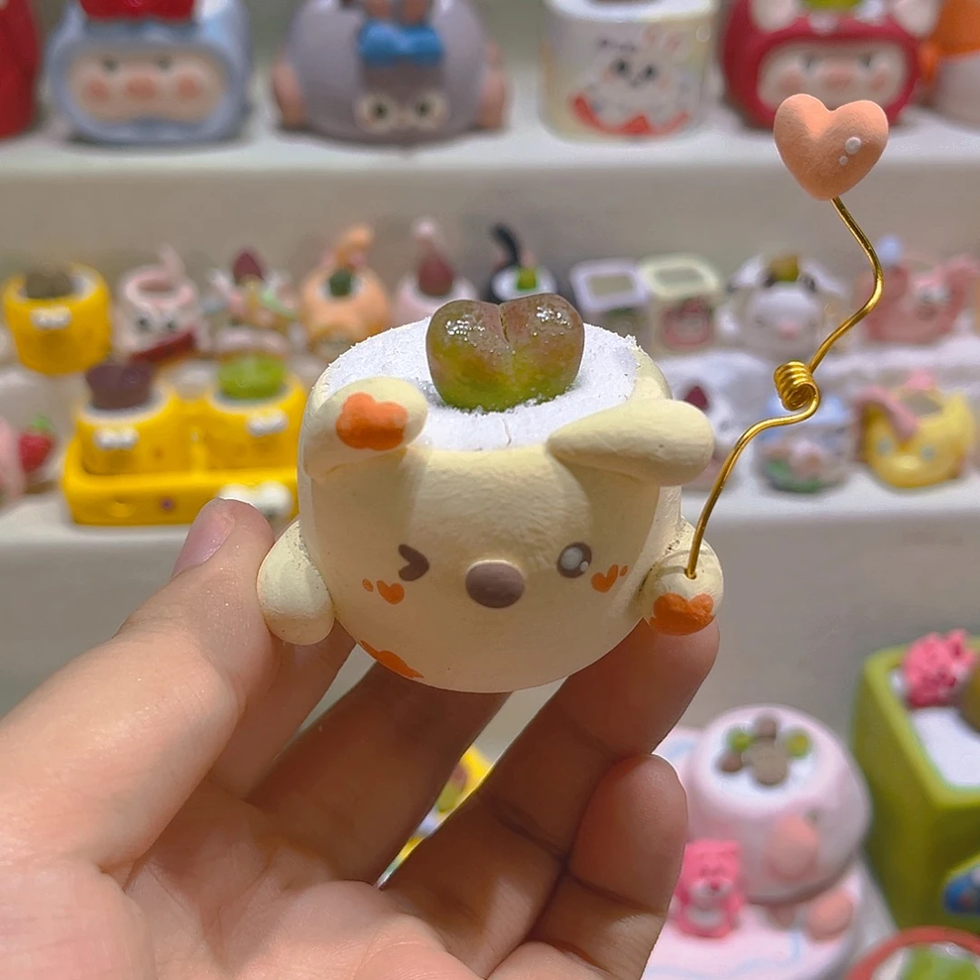 050高端多肉带盆带土