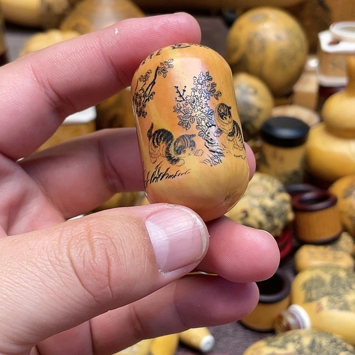 追***光我是一只小小鸟地域