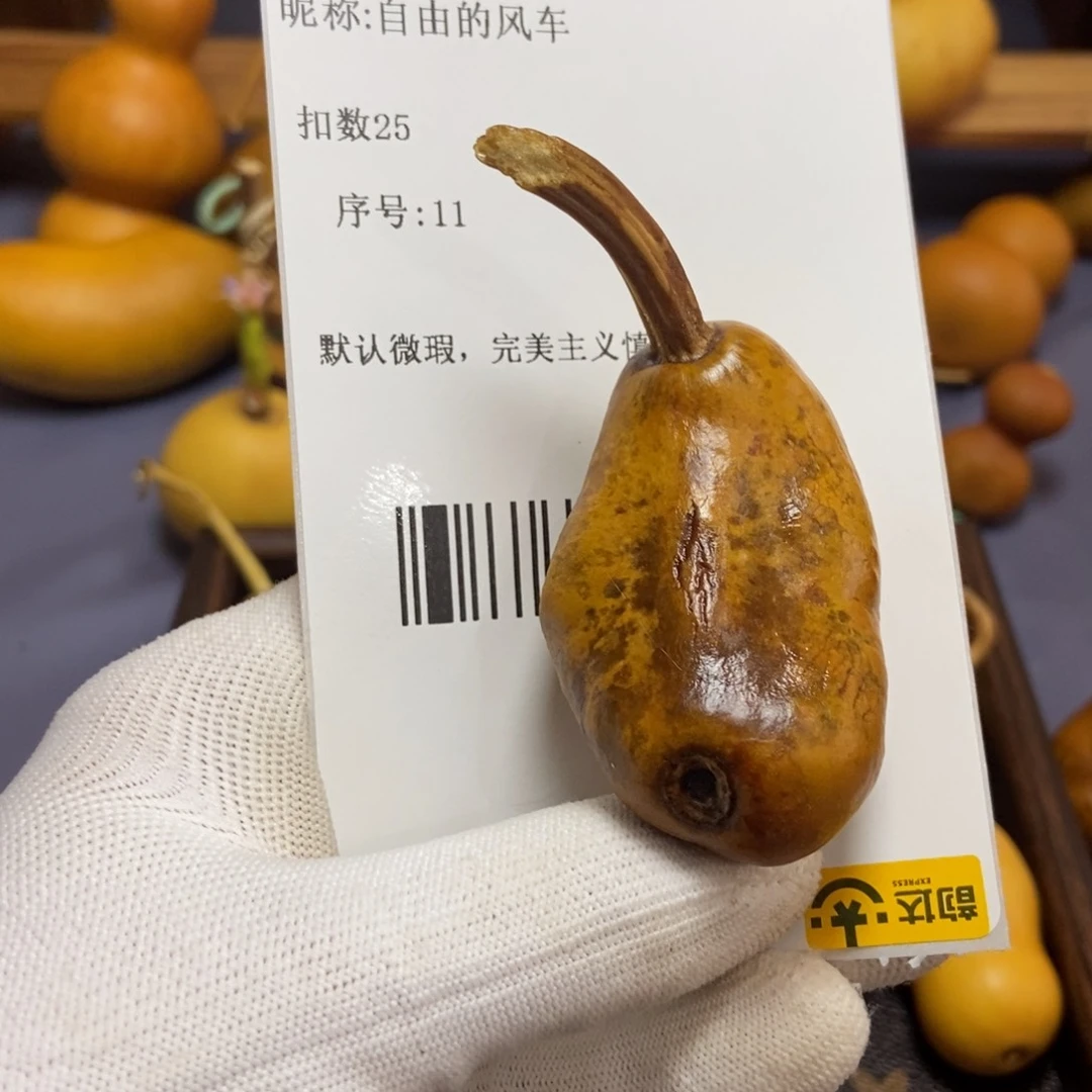 自***车哈哈哈哈哈哈哈哈