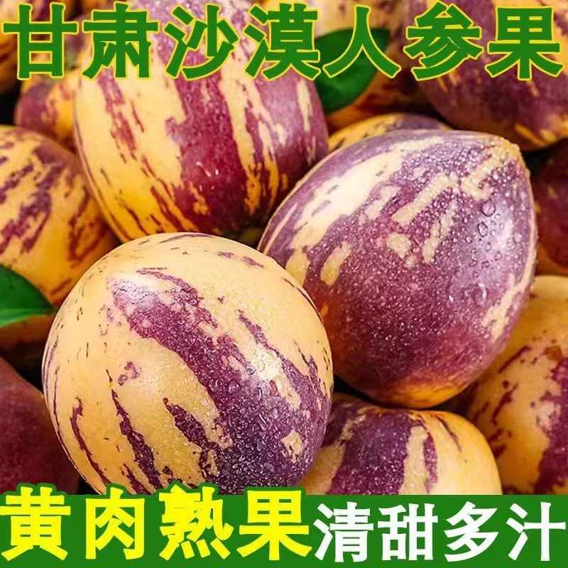 甘肃民勤沙漠人参果现摘现发头茬果带箱低糖低脂清甜爽口水果当季