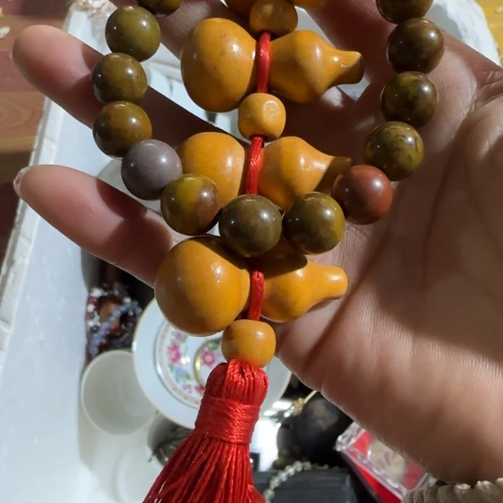 善***》cjsscjschschsccsbscb