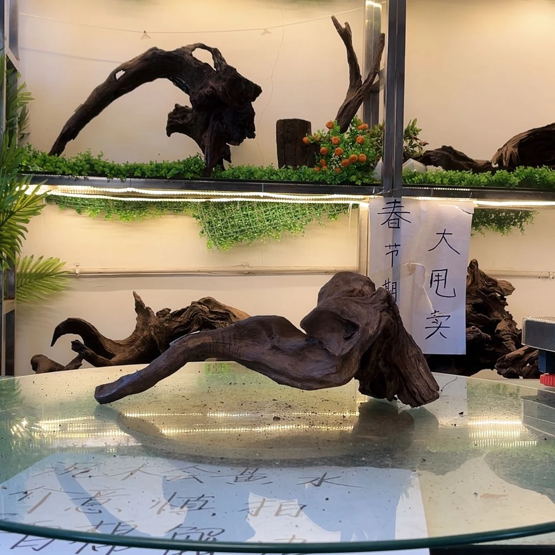 柚木蜜*?沉木鱼缸造景