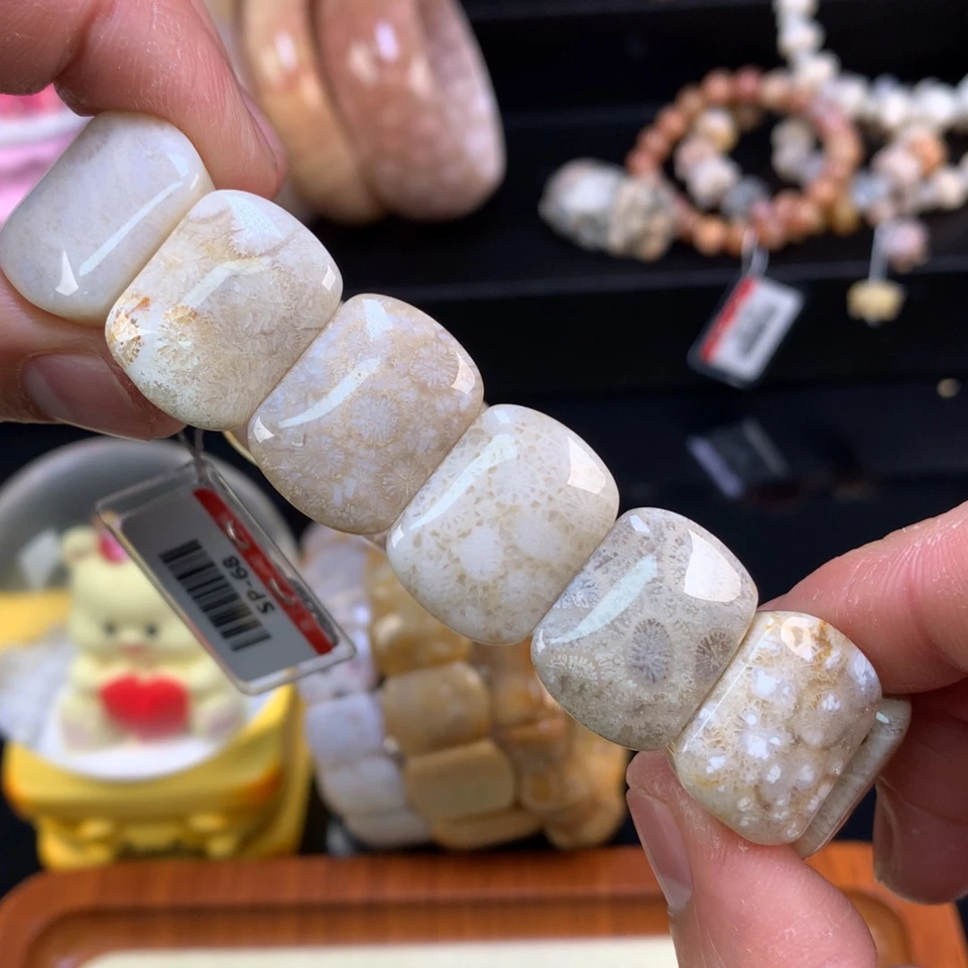 硅化珊瑚（珊瑚玉）未镶嵌颈饰76号咖底调