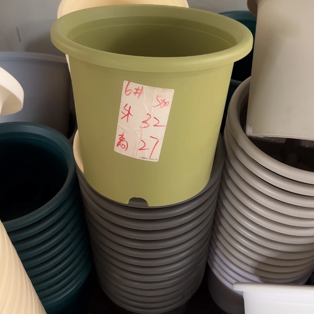 微瑕6号3个无托，果绿
