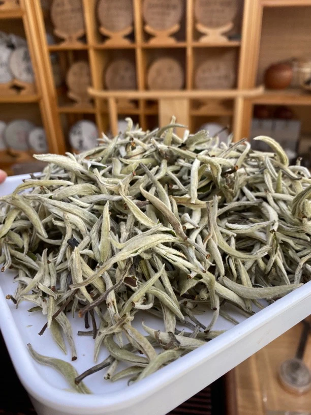 2025云南白毫银针春茶