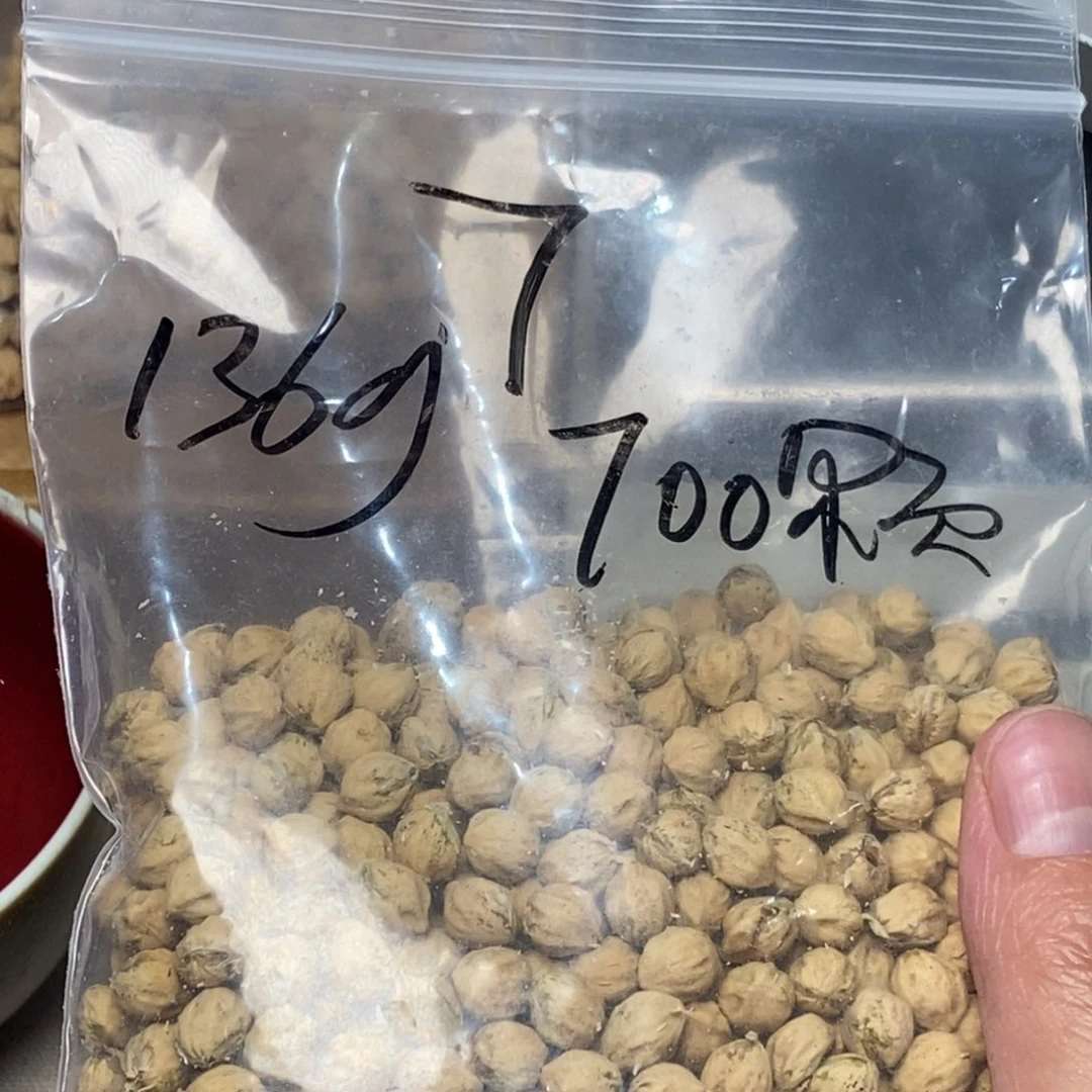 柏香籽/百香籽吊坠