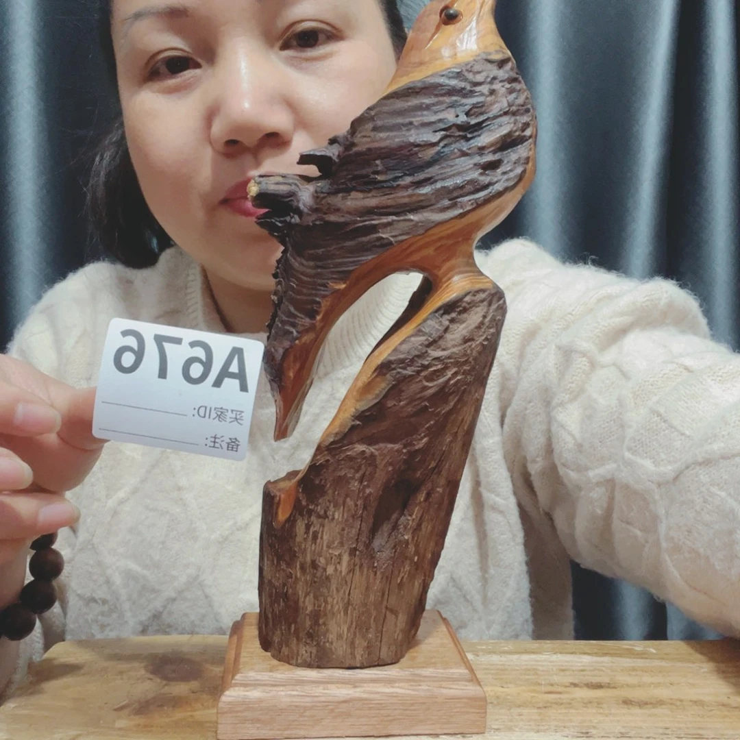 浪**城百年树的生长环境