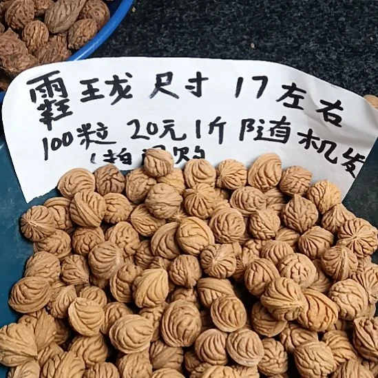 吊坠桃核霸王龙20元一斤随机发