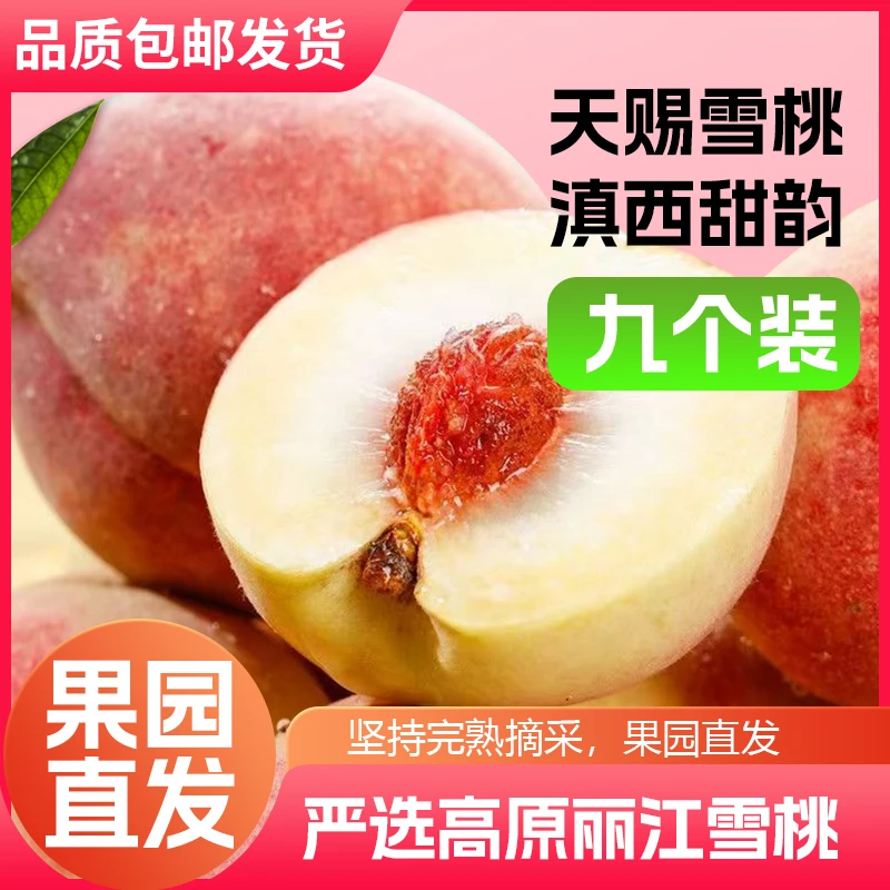 云南丽江新鲜脆甜雪桃当季应季水果现摘整箱包邮