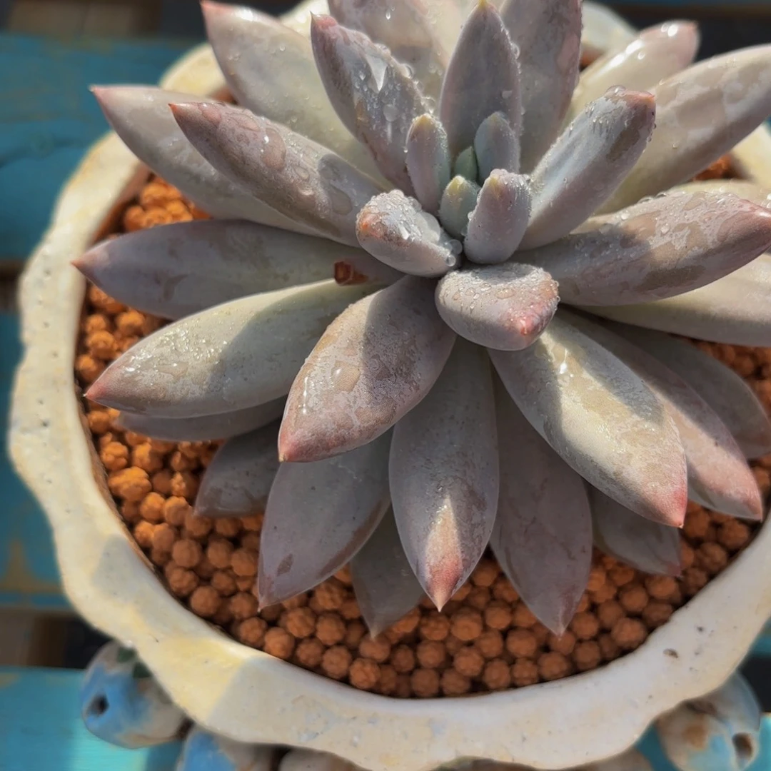 Hocjbkbvjnkkbkjbvhjjjhm