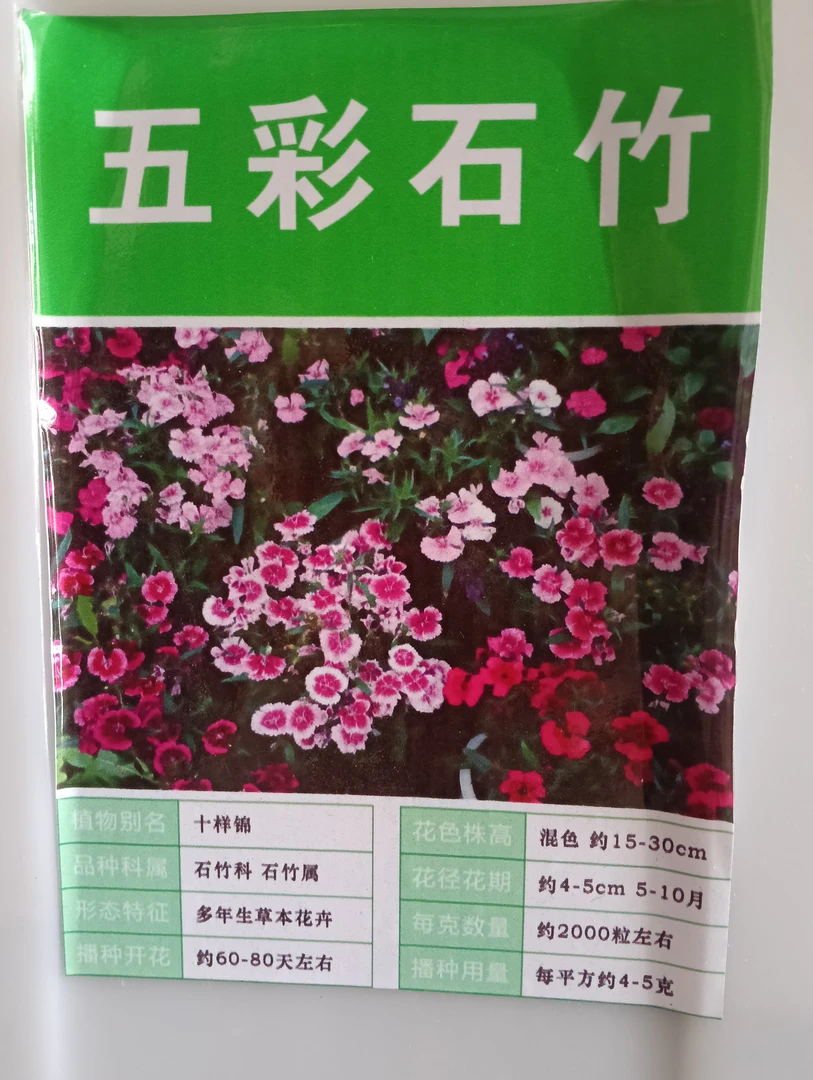 五彩石竹，十样锦